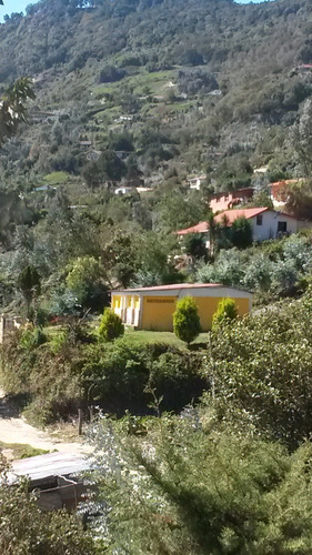 Excelente Terrenos En Venta Galipán, Parque Nacional Él Ávila. Son 2 Terrenos Puede Venderse Juntos Como Se Presenta Acá O Separados Edf