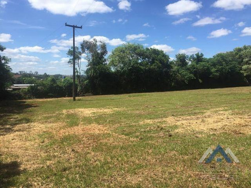 Imagem 4 de 6 de Terreno À Venda, 5000 M² Por R$ 600.000,00 - Distrito Espírito Santo - Londrina/pr - Te0507