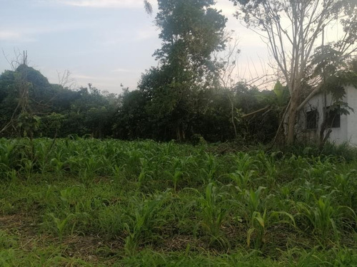 Imagen 1 de 2 de Terreno En Venta Burocratas