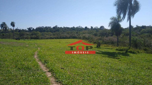 Imagem 7 de 20 de Linda Fazenda À Venda! - Fa0037