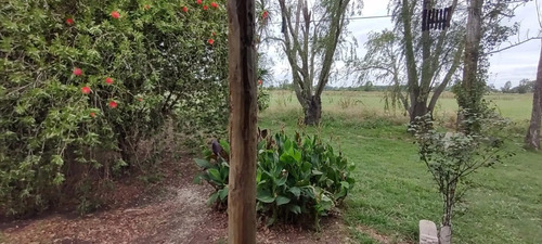Chacra De 4 Ha. En Venta En San Andres De Giles