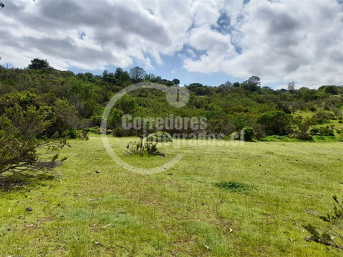 Terreno Construccion En Venta En Concón