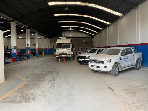 Imagen 9 de 29 de Alquilo Galpón 1200 M2 - Predio 3000 M2 - Oficinas 300 M2 -