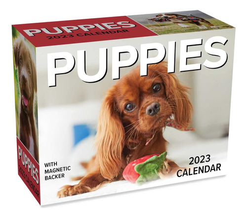 Puppies 2023 Mini Day-to-day Calendar