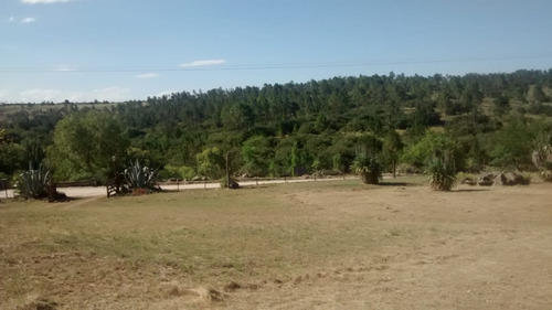 Imagen 7 de 14 de Los Reartes, Terreno Frente Al Río, Vista A Las Sierras