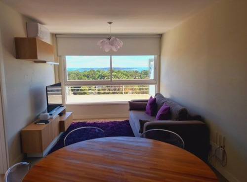 Apartamento 1 Dormitorio Punta Del Este 