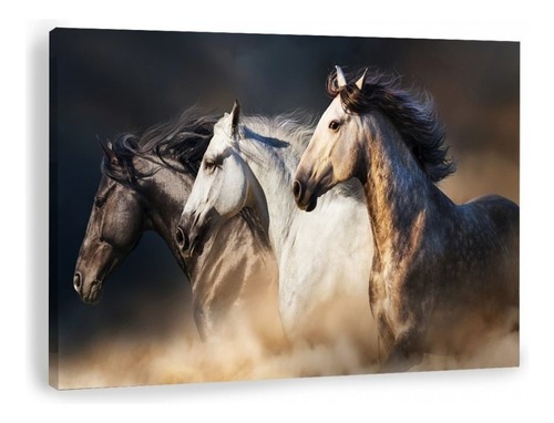 Canvas | Mega Cuadro Decorativo | Caballos | 140x90