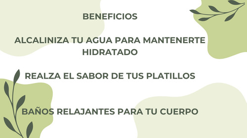 Saltun Espuma De Sal De Mar De Celestún Yucatan 150g