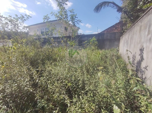 Imagem 7 de 15 de Terreno A Venda No Bairro Ponta Negra, Manaus Am - Te00061 - 69918347