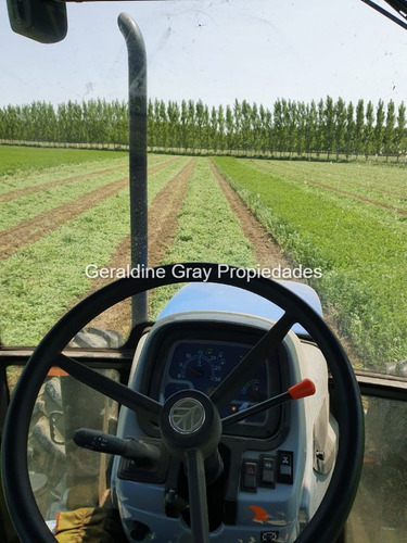 Campo En Venta De 70 Has Ubicado En Tratayen