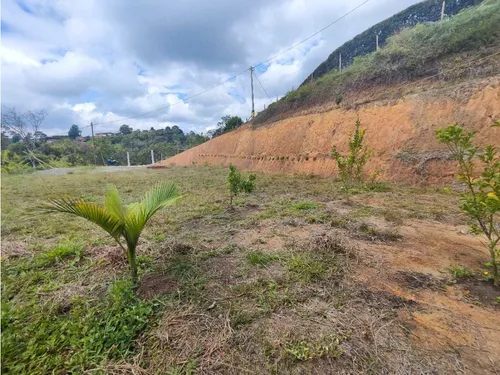 Lote En Rionegro Vereda La Playa
