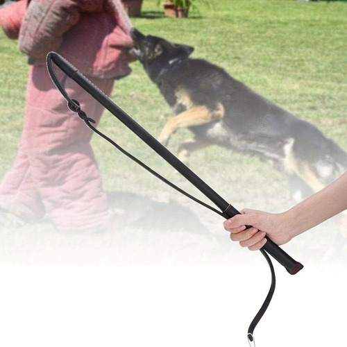Látigo De Adiestramiento Canino, Herramienta De Negro