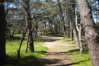 Imagen 14 de 14 de Dueño Alquila Villa Gesell Monoambiente Frente Al Bosque