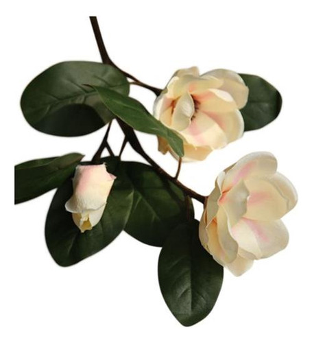Bouqu Floral De Boda G Con Diseño De Magnolia Con Diseño De