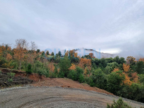 Tranquila Parcela 0,5ha Tranquilidad (92297)