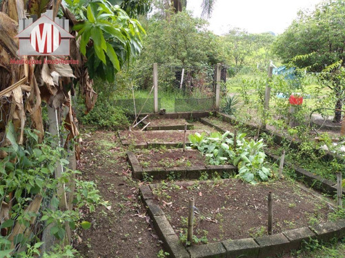 Imagem 29 de 30 de Excelente Chácara Com Escritura, Pomar, 04 Dormitórios E Linda Vista À Venda, 1000 M² Por R$ 280.000 - Rural - Socorro/sp - Ch0643