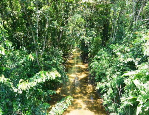 Chacara A Venda