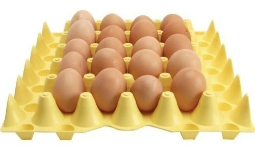 Bandeja De Plástico De 30 Huevos