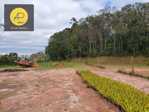 Imagem 21 de 30 de Terreno À Venda, 3557 M² Por R$ 480.000,00 - Jardim Ponte Grande - Mogi Das Cruzes/sp - Te0045