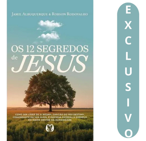 Os 12 Segredos De Jesus: Como Ser Lider De Si Mesmo,, De Jamil Albuquerque. Religião, Vol. 1. Editorial Citadel, Capa Mole, Edição Única Em Português, 2025