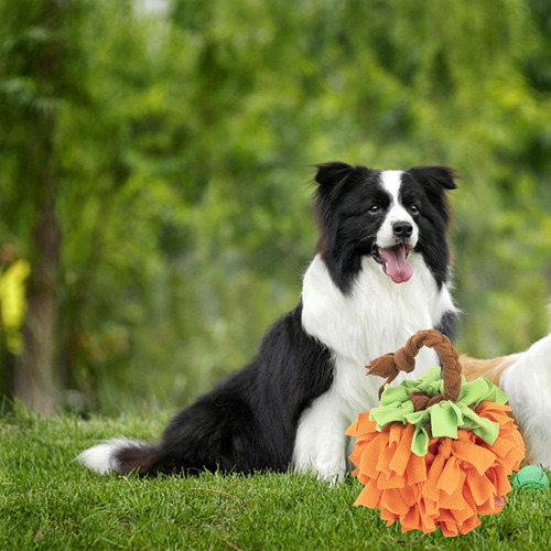 Rompecabezas Para Perros Juguete Bola Para Oler Inteligencia