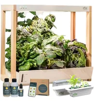 Comprar Rise Gardens Kit De Jardín Personal Y De Iniciación