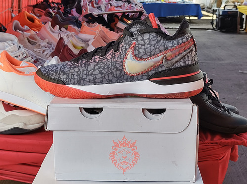 Nike Zoom Lebron Nxxt Gen Bren (Usado)