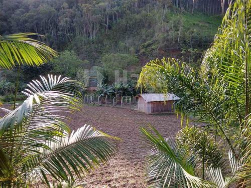 Imagem 5 de 20 de Chácara À Venda Em Botuverá/sc - 1622c