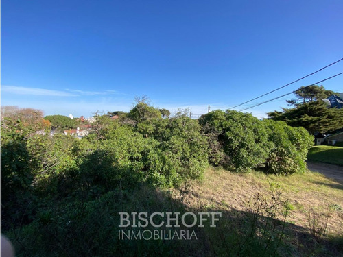 Venta De Lote En Ostende Calle Moreno