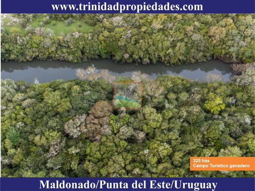 Imagen 11 de 14 de Campo Turístico Ganadero 325has