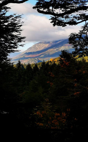Excelente Terreno Con Vista A La Montaña Y La Tranquilidad Del Bosque En Península San Pedro. Gas