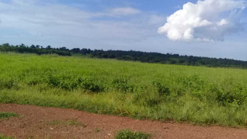 Imagem 17 de 25 de Rural, Zona Rural, Nova Crixás - Go | 945509 - Go - Ch0113_abi