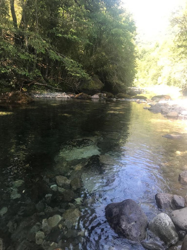 Terreno Cerca Reserva Nacional Malleco, 6.100 Mt2