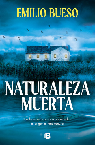 Naturaleza Muerta -   - *