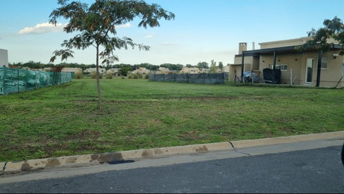 Imagen 6 de 6 de Lote -terreno- Santa Elena - Pilar Del Este - Zona Norte