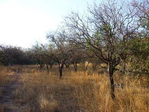 Vende Lote En San Marcos Sierras - 4500m2 A 700m De La Plaza