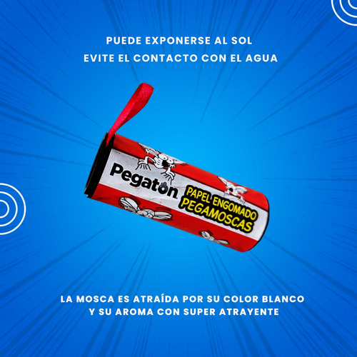 Atrapamoscas Sin Veneno Para Moscas Atrapamoscas 5 Piezas