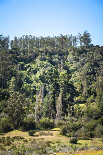 Parcelas En Algarrobo Terrenos De 5 Hectáreas Rol Propio