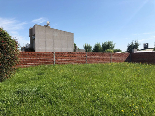 Imagen 6 de 13 de Lote/terreno En Carlos Casares - Financia 50% - Apto Credito