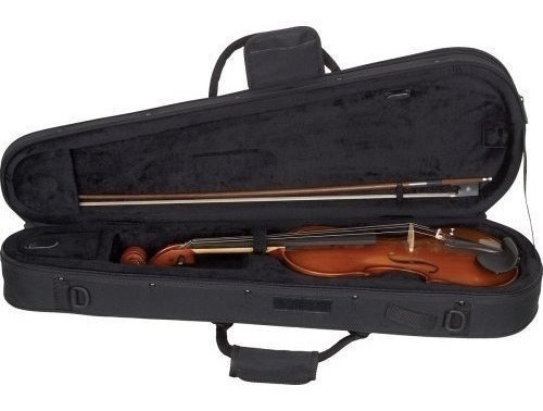 Protec Max 44 Funda Para Violin Oblongo Color Negro Negro