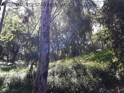 Imagem 7 de 9 de Terreno Residencial Em Carapicuíba - Sp, Chácara Granja Velha - Trv0044