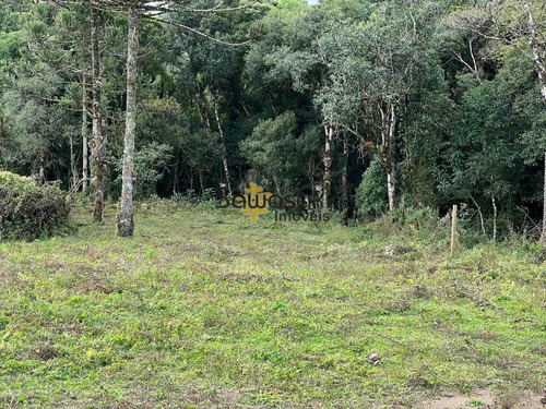 Imagem 5 de 9 de Chácara À Venda No Bairro Colônia Murici - São José Dos Pinhais/pr - 5864