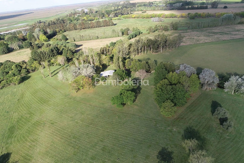 Imagen 23 de 30 de Terreno Campo En Venta O Permuta Ubicado En Baradero, Resto De La Provincia, Buenos Aires