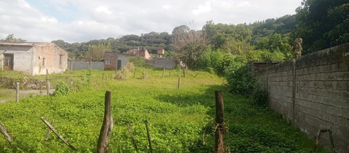 Venta Terreno 568,50 M2 - Los Molinos