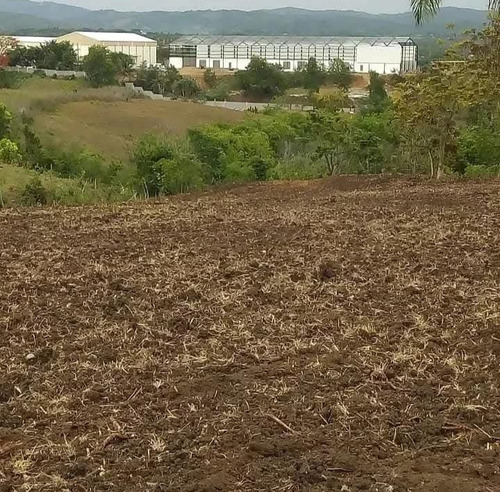 Solar Con 16,000 Mts2 Próximo Al Merca Santo Domingo