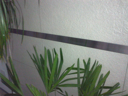 Imagen 9 de 9 de Guarda Clasica 50mm X 2.45 Mtr Acero Inoxidable Decoración