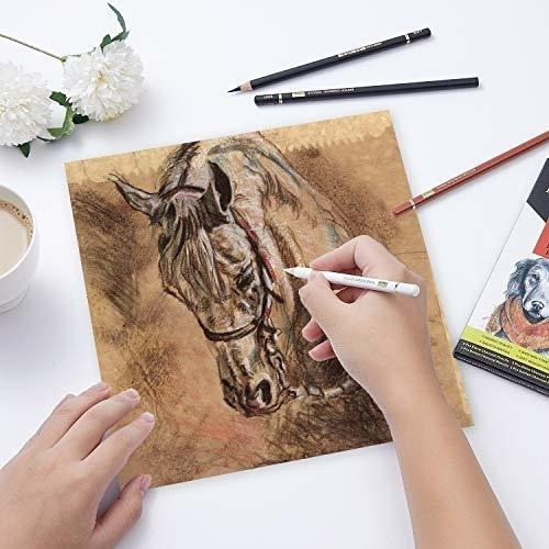 Paquete De 10 Lápices De Carbón De Color Para Dibujar