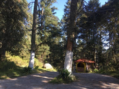 Imagen 3 de 6 de Terreno En Venta Cabaña Dentro De Zona Boscosa, Fraccionamiento Privado