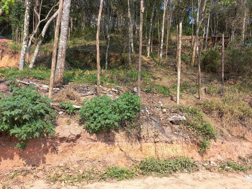 Imagem 7 de 12 de Terreno Mairiporã 800 Metros