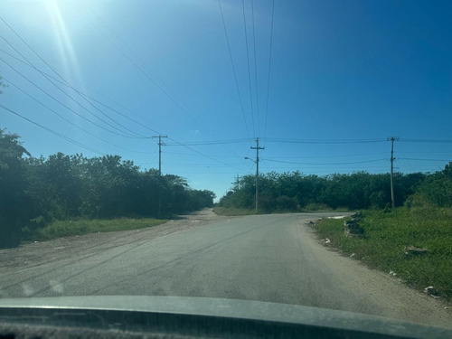 Terreno  En Uman Yucatán Remate